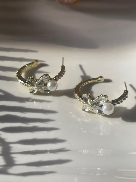 फेयरी विंग हूप्स