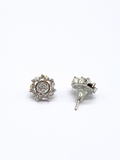 Brilliant Beauty AD Studs