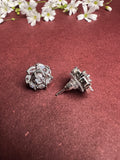 Brilliant Beauty AD Studs