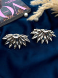 Frosted Wings Shoe Clips