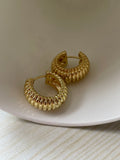 Golden Glow Hoop Earrings