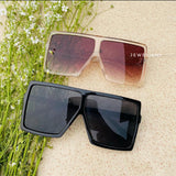 काइली बेब सनीज़