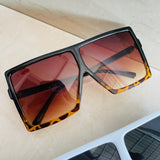 काइली बेब सनीज़