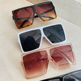 काइली बेब सनीज़