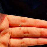 Crystal Pierced Nose Ring