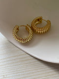 Golden Glow Hoop Earrings