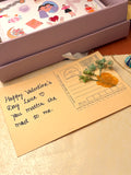 Ocean Kiss Edit Hamper