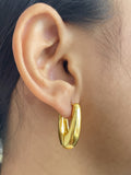 Texas Gold Earrings