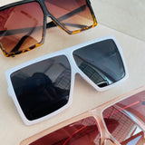 काइली बेब सनीज़