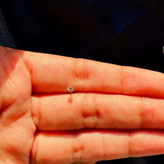 Crystal Pierced Nose Ring