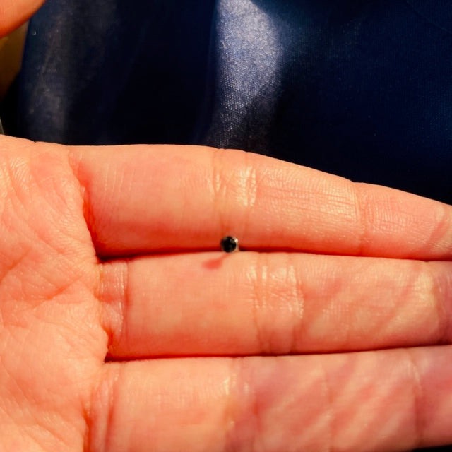 Crystal Pierced Nose Ring